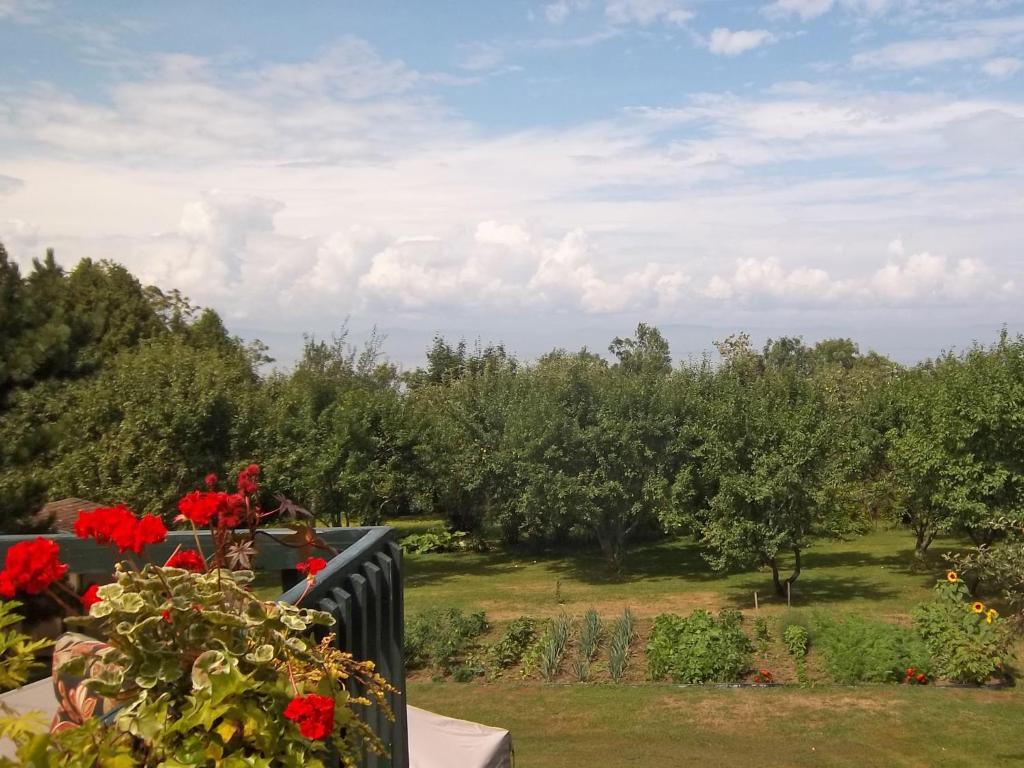 Gite La Halte Du Verger Bed And Breakfast Riviere-du-Loup Exterior foto